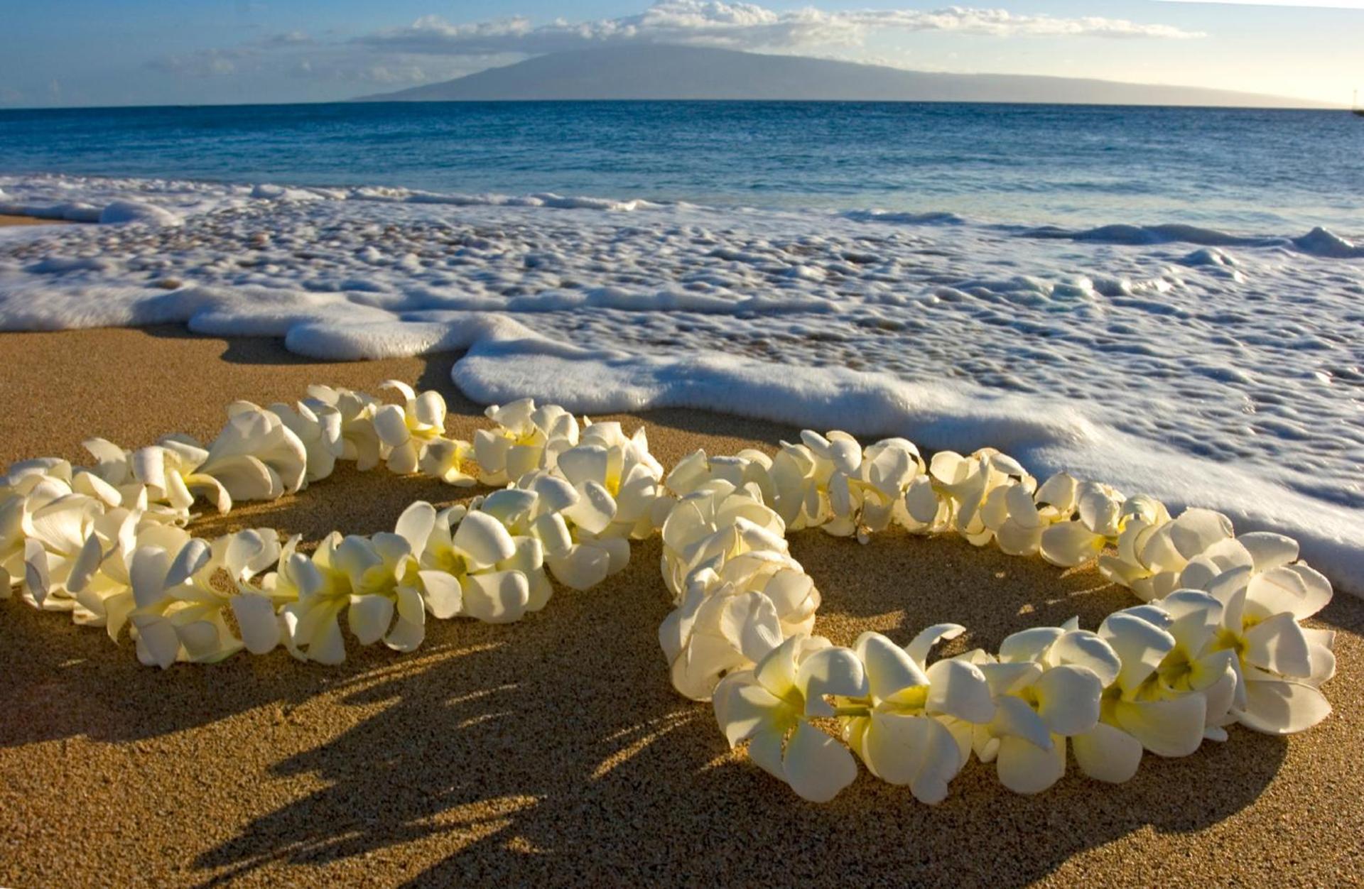 Renovated Ocean View Suite, Near Beach, Free Parking Honolulu Exterior foto
