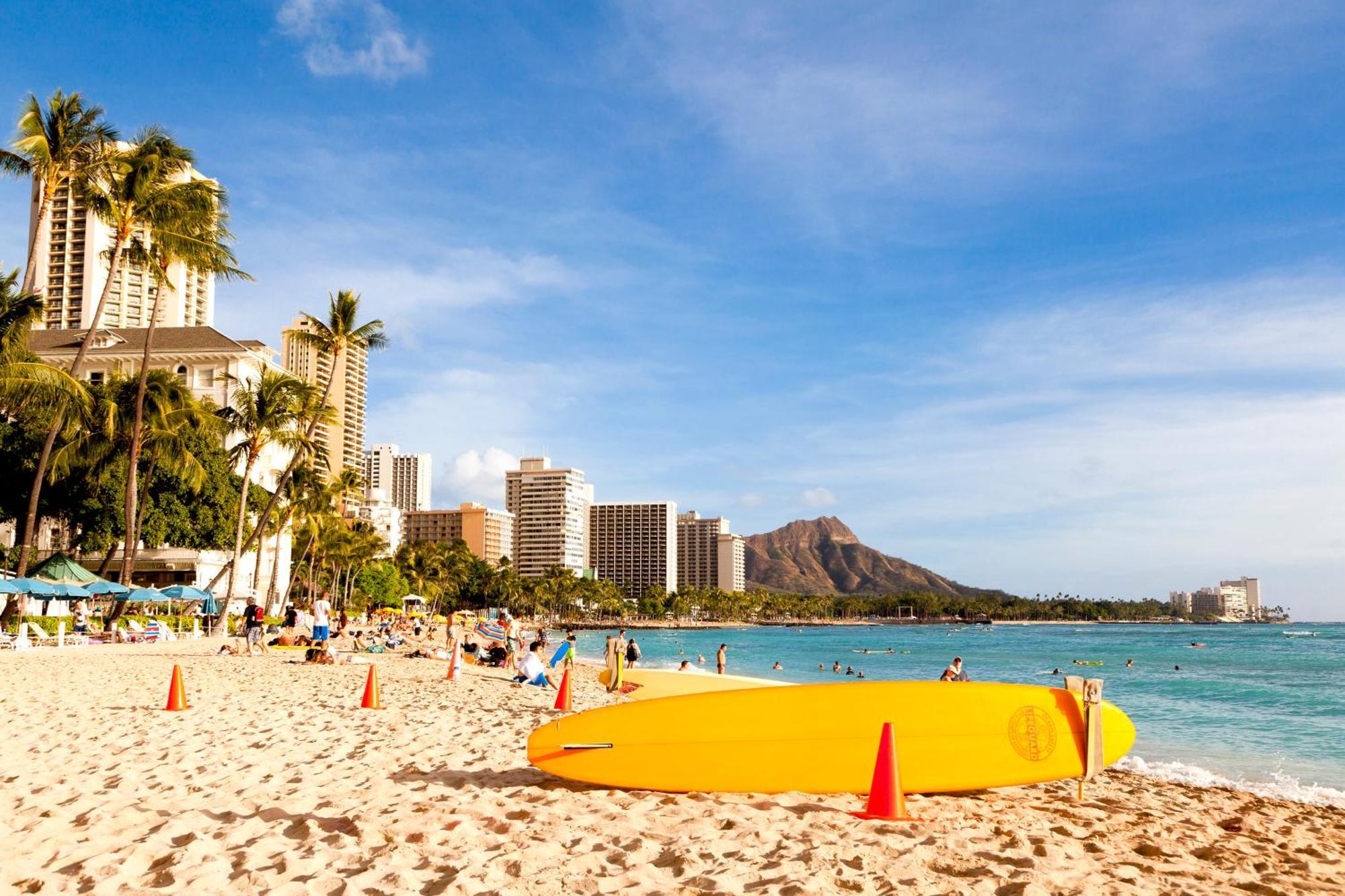 Renovated Ocean View Suite, Near Beach, Free Parking Honolulu Exterior foto