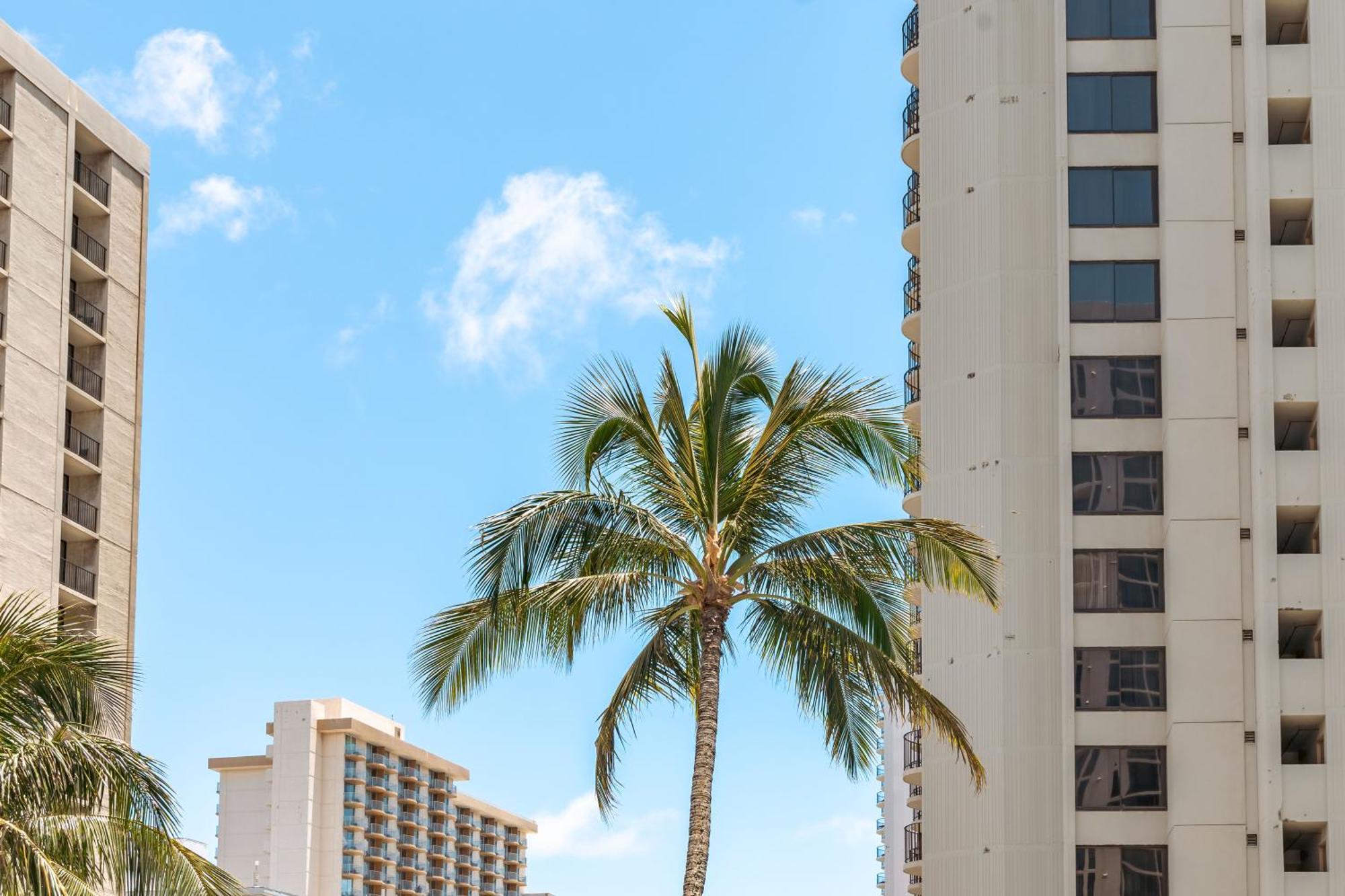 Renovated Ocean View Suite, Near Beach, Free Parking Honolulu Exterior foto