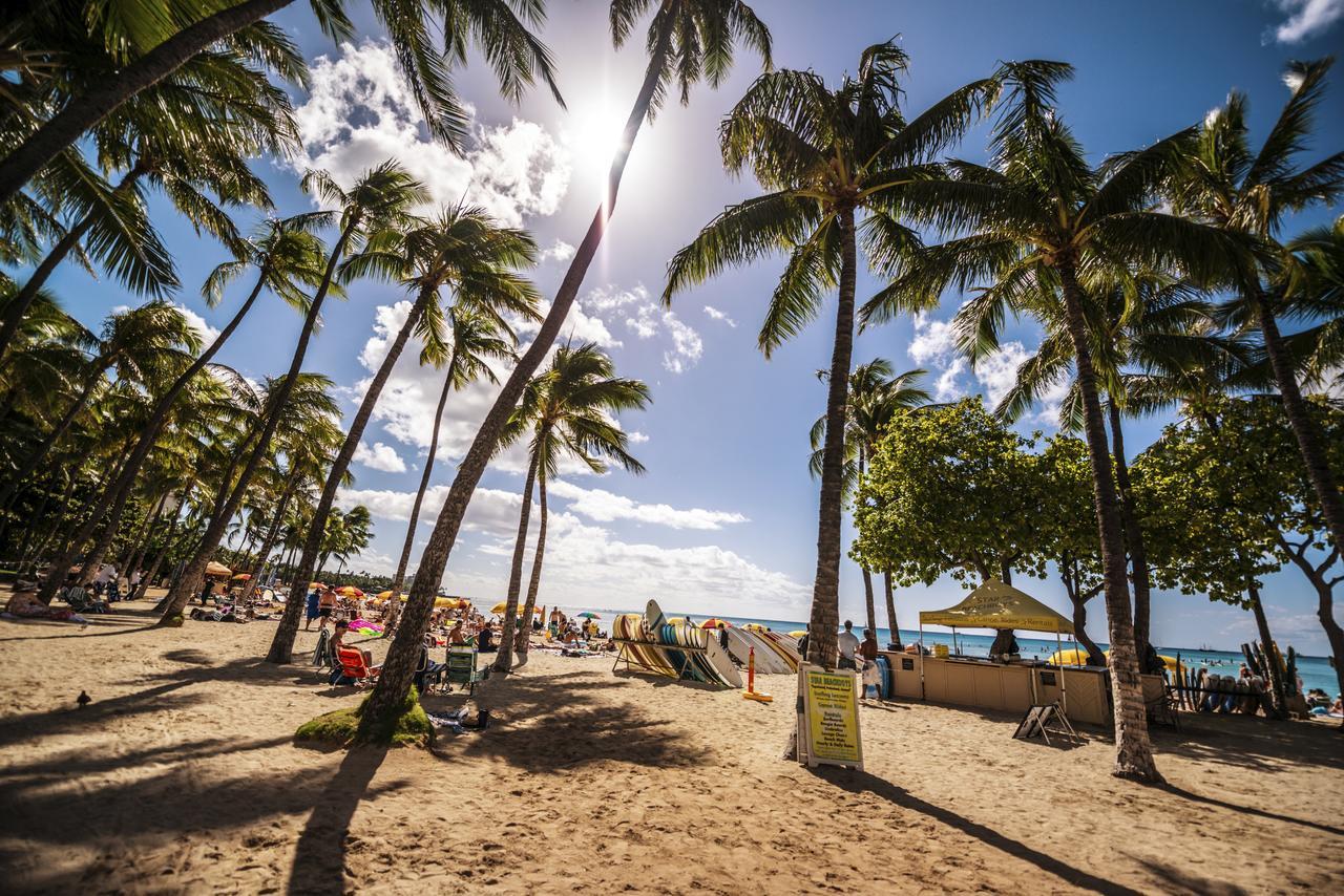 Renovated Ocean View Suite, Near Beach, Free Parking Honolulu Exterior foto