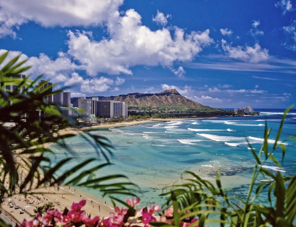 Renovated Ocean View Suite, Near Beach, Free Parking Honolulu Exterior foto